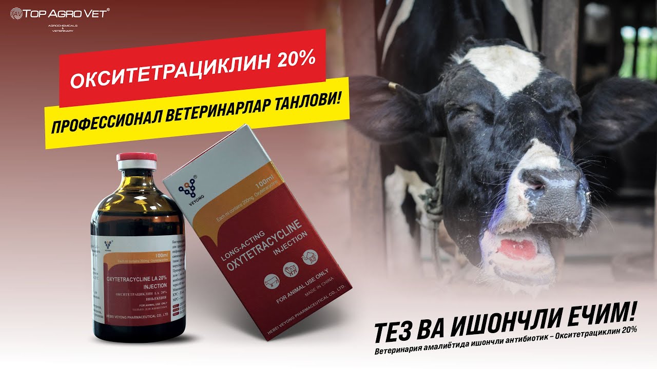 Ветеринария амалиётида ишончли антибиотик – Окситетрациклин 20%