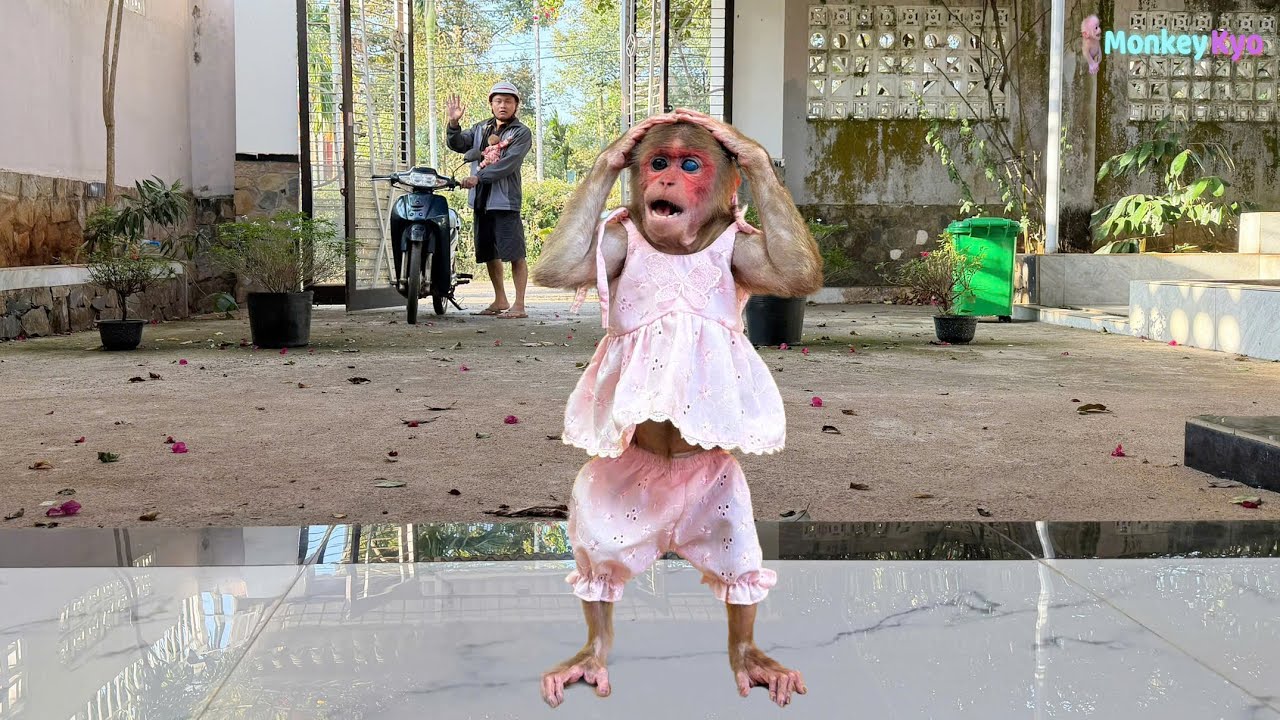 Dad took BuNa for a health check — Kyo’s reaction at home was unexpected!