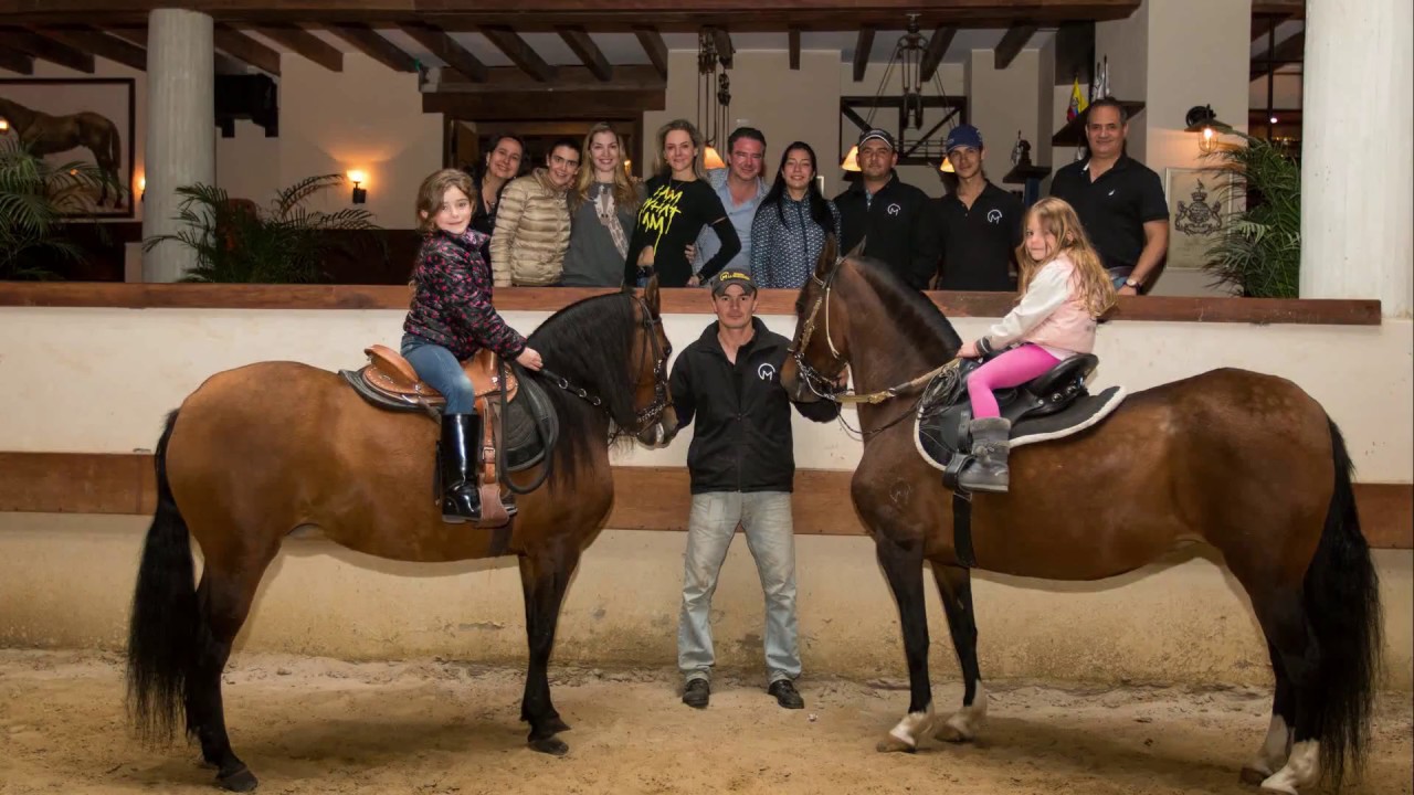 Visit Criadero La Marqueza   Breeder of Paso Fino, Trocha, Trocha y Galope and Trote y Galope Horses