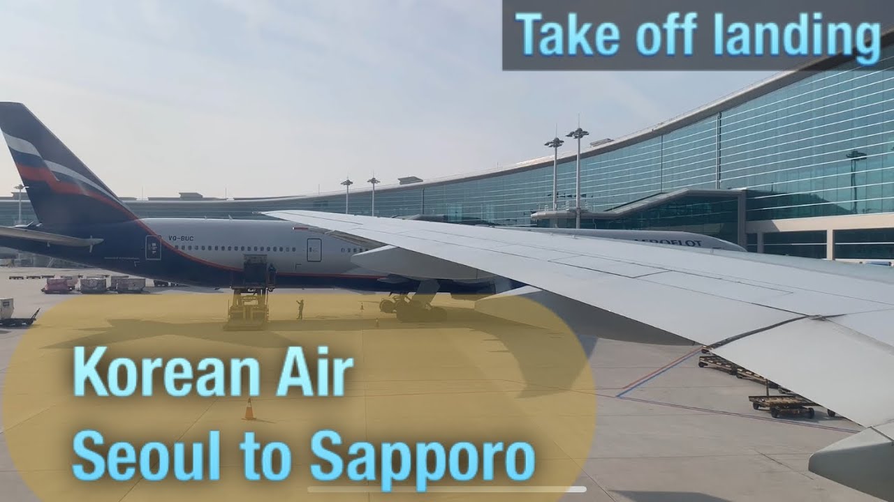 【離着陸機窓】大韓航空795便 ソウル/仁川発札幌/新千歳着 “Take off and landing” Korean Air Seoul to Sapporo