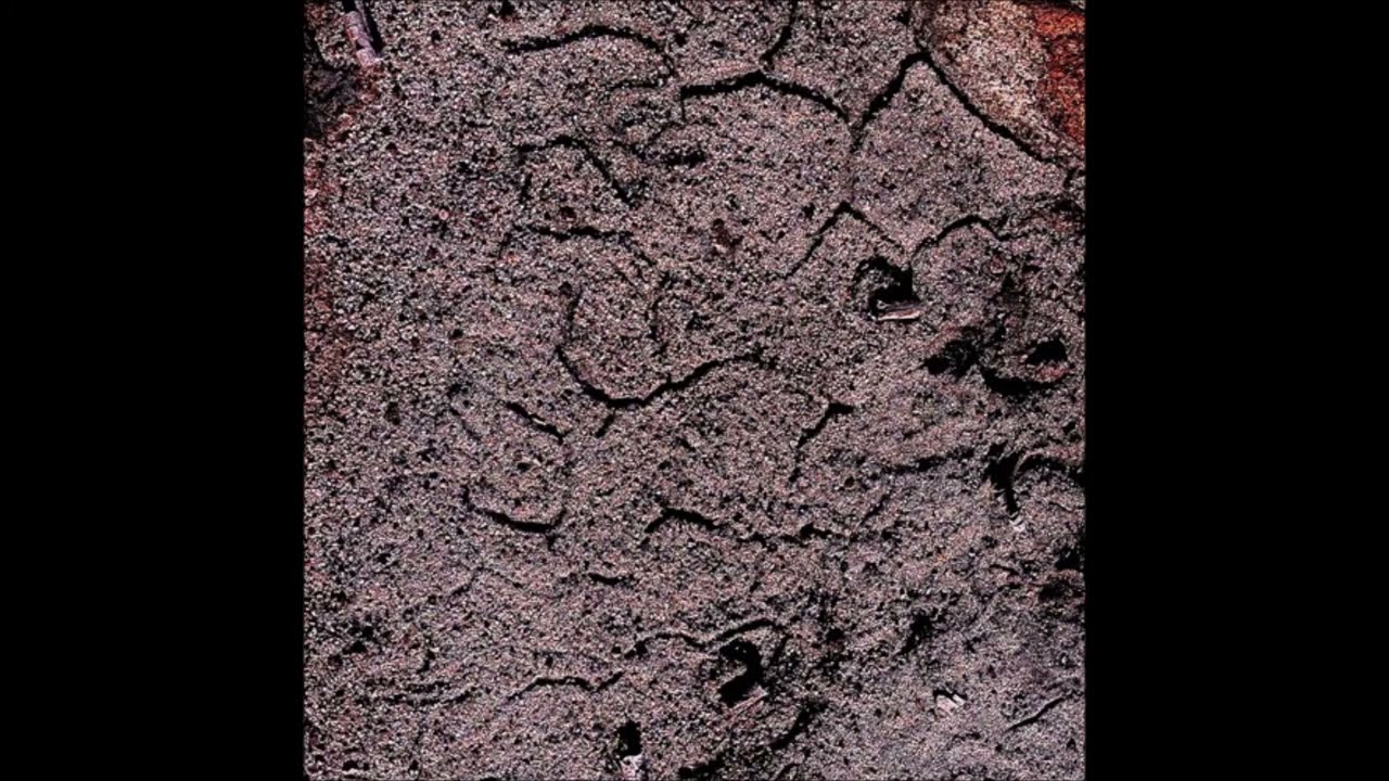 Fornicata - Putty