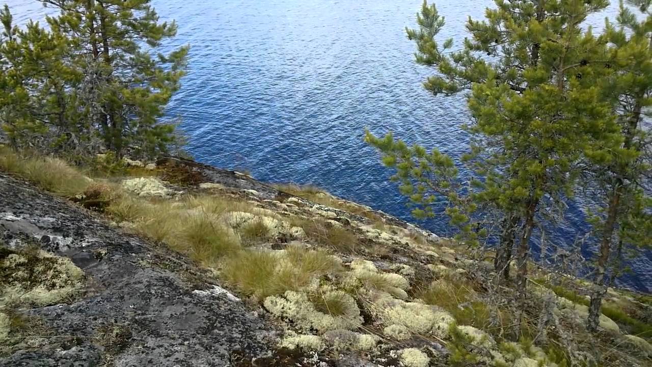 велотрип: Приозерск - Койонсаари - Кузнечное