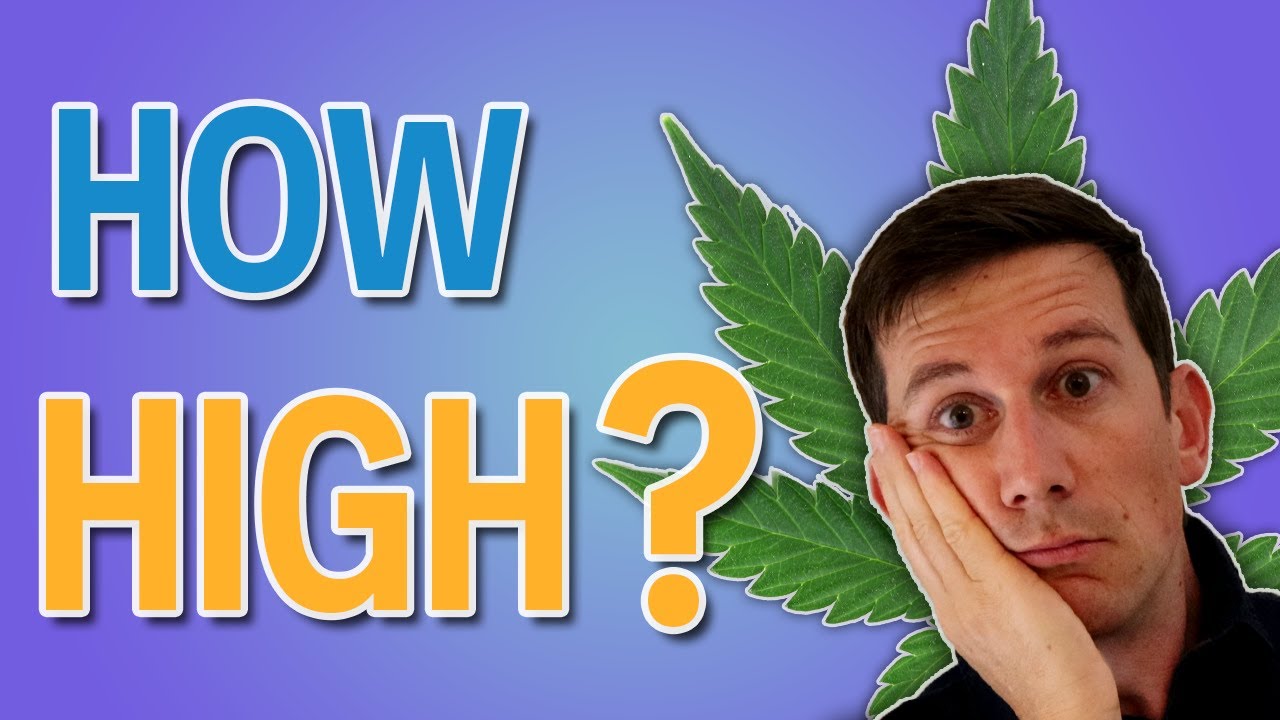 Grow Generation Stock | Will this stock bloom or wither on the vine?