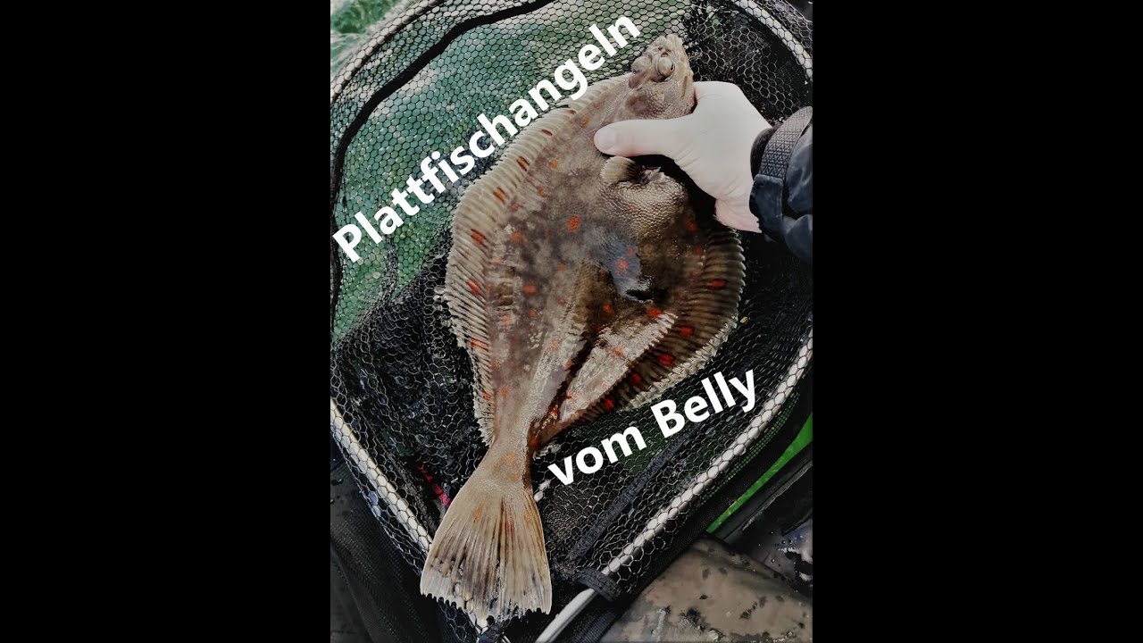 Platt, Platter, Scholle | Plattfischangeln vom Bellyboot