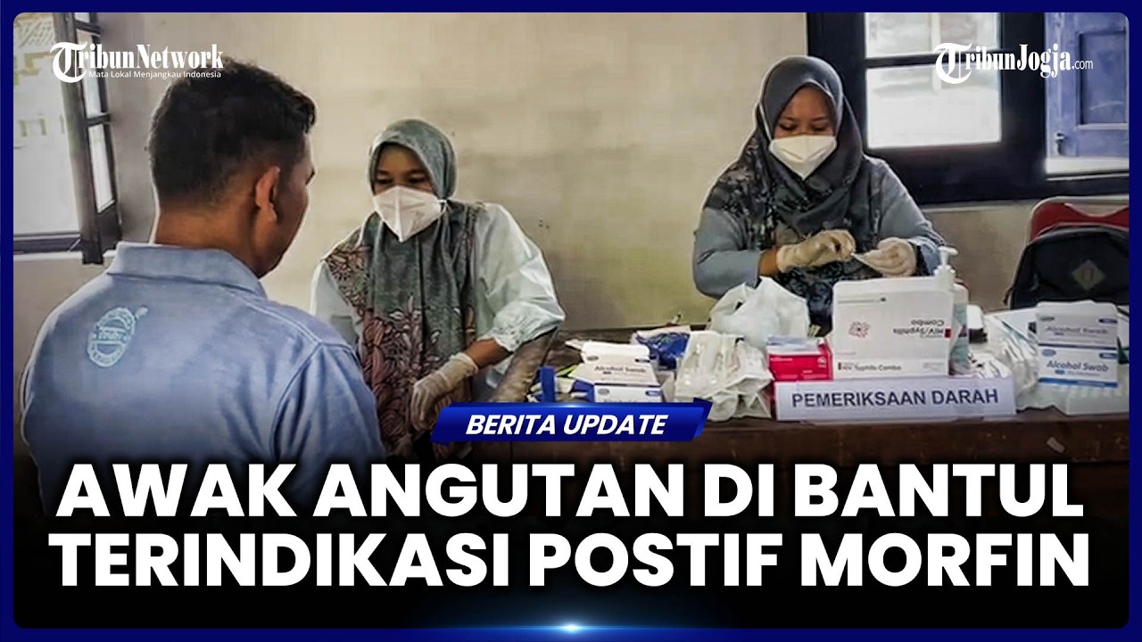 SATU AWAK ANGKUTAN DI BANTUL TERINDIKASI POSITIF MORFIN SAAT TES URINE DI TERMINAL PALBAPANG