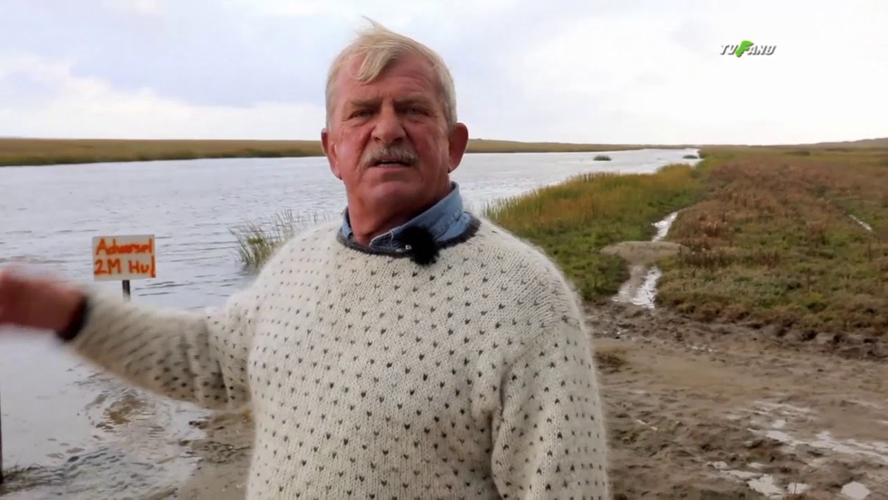 Sønderho Havn (10 min)