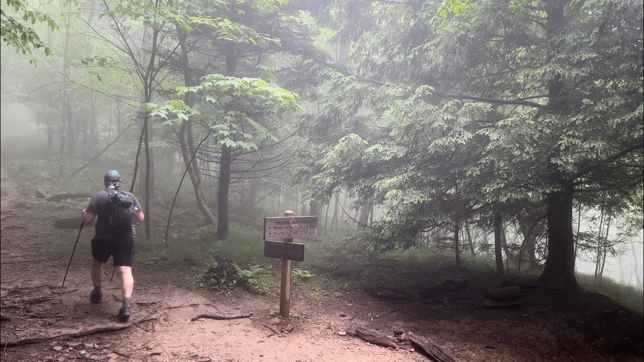 Solo Hiking Mt. LeConte Via Trillium Gap to Rainbow Falls Trail