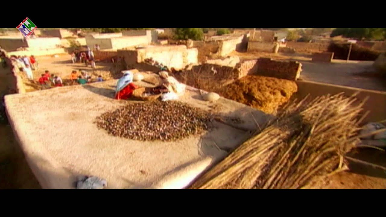 Jassi Sohal | Kabaddi | Music Waves