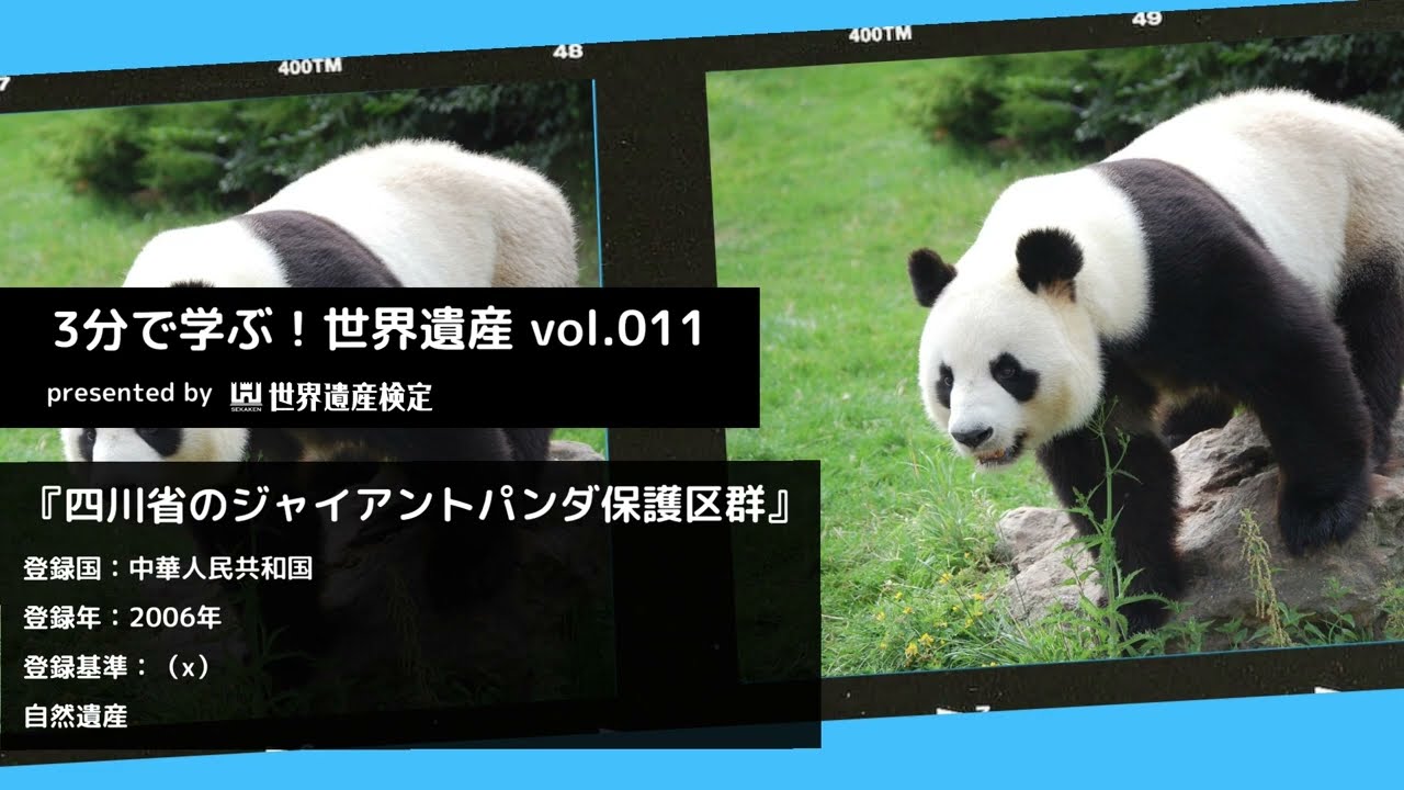 3分で学ぶ！世界遺産vol.011「四川省のジャイアントパンダ保護区群」