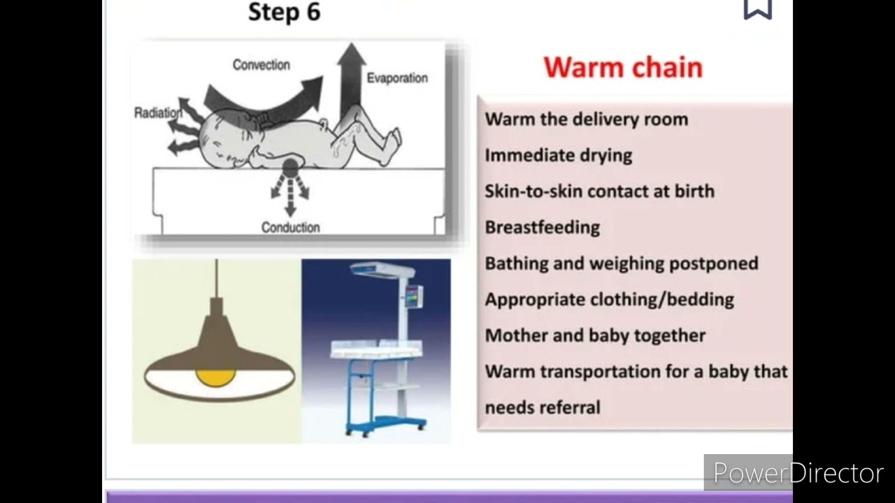 Pediatrics Nursing -   Topic-                 Essential Newborn Care and 8 steps newborn care
