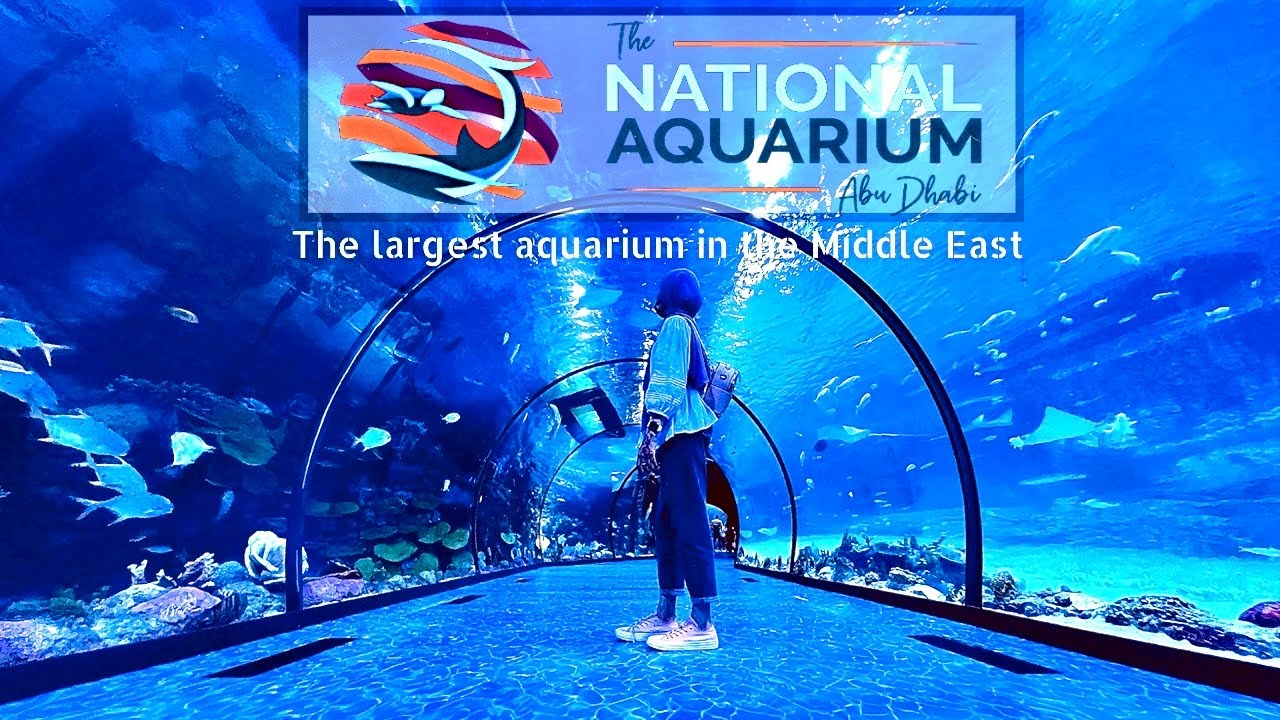 National aquarium abudhabi | Al qana aquarium | The National Aquarium Abu dhabi