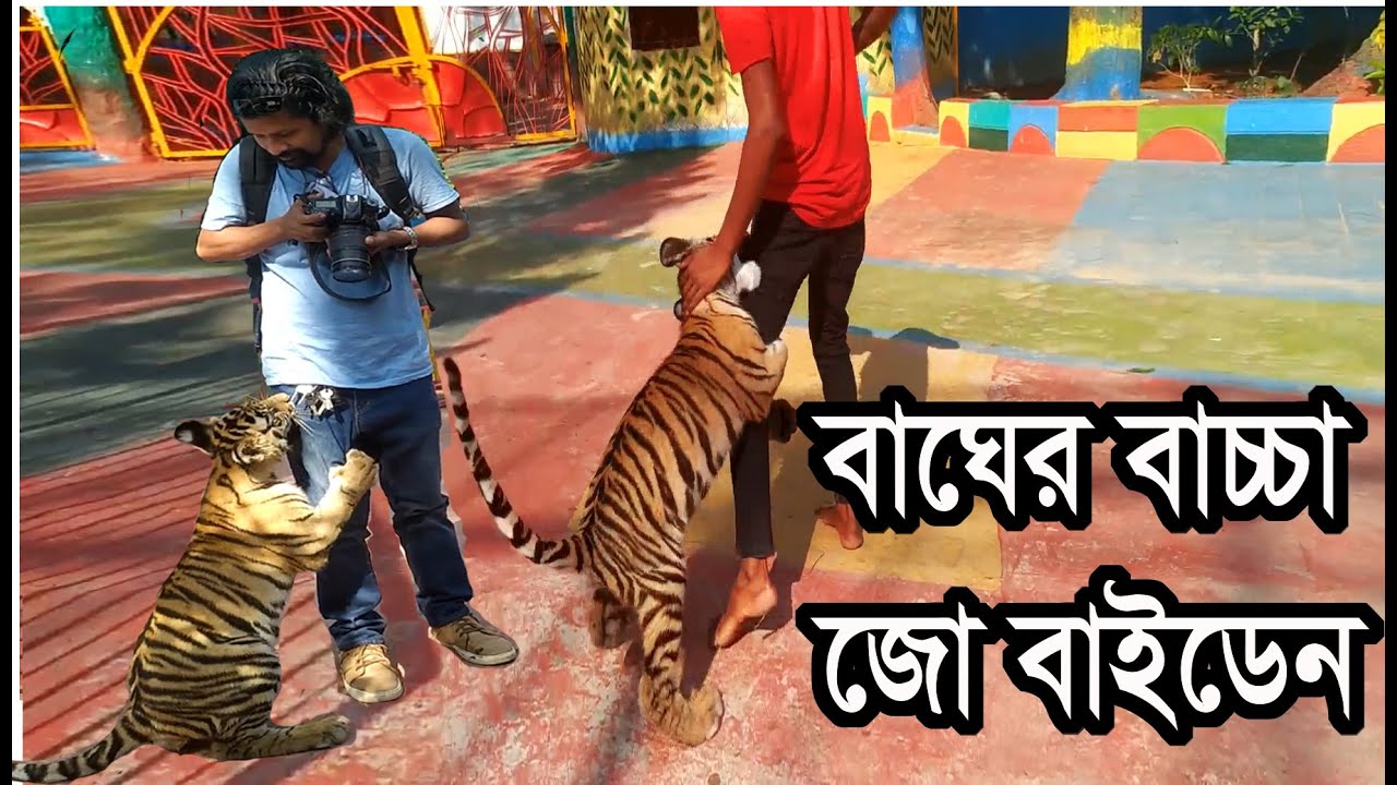 Tiger cub joe biden || Chittagong zoo 2021