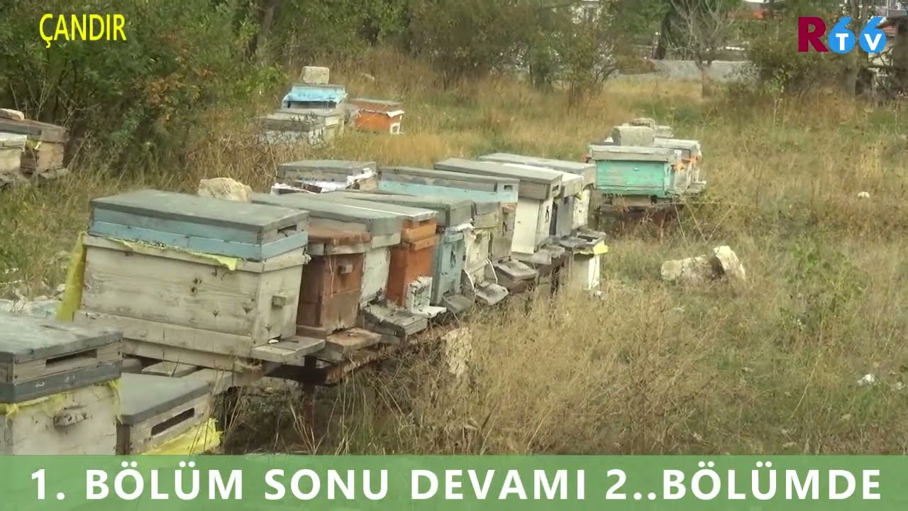 ÇANDIR İLÇESİ