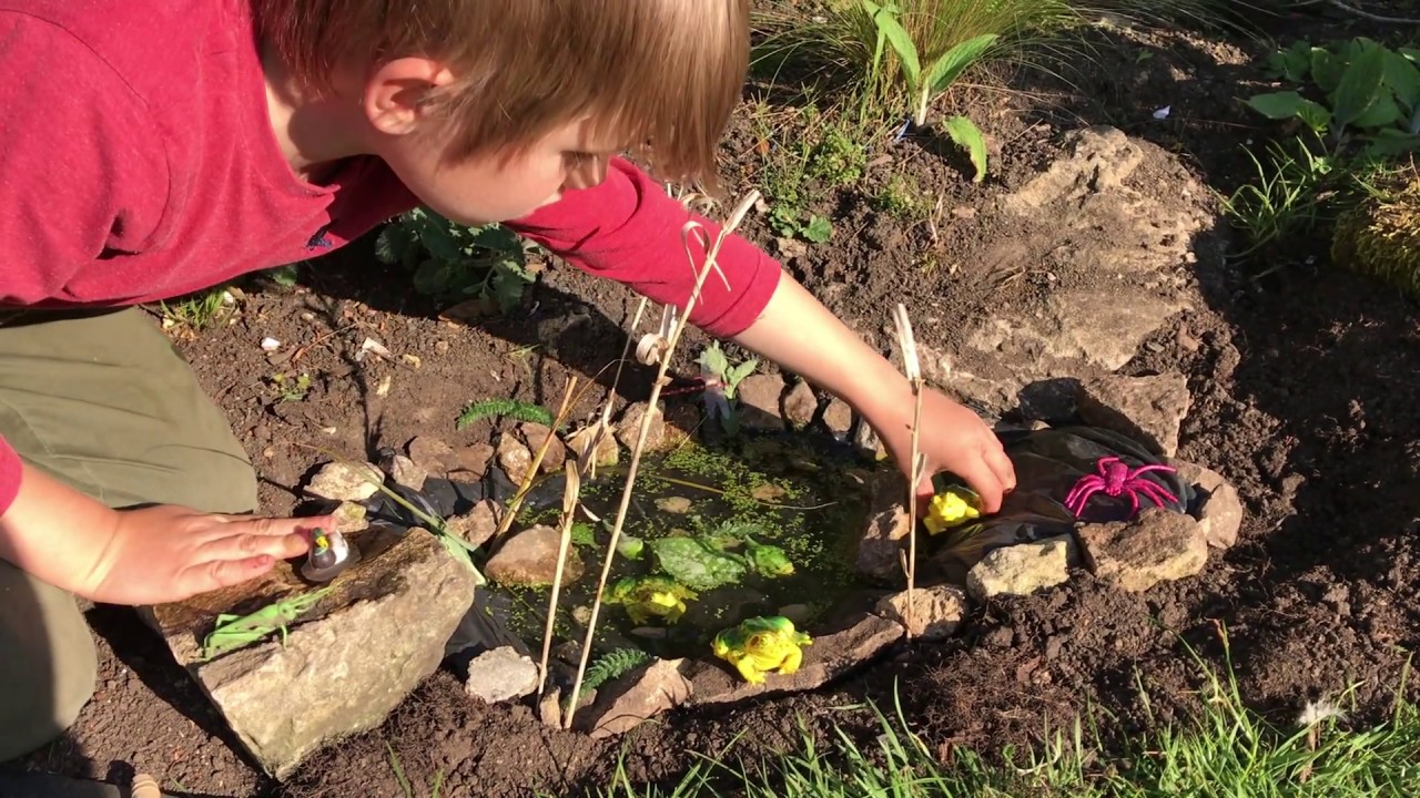 Frogs and Toads - Build a pond
