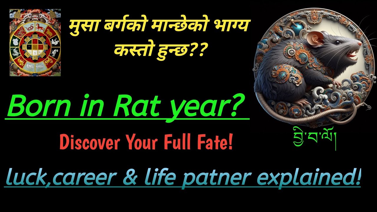 मुसा बर्गको मान्छेको भाग्य कस्तो हुन्छ? Born in rat year? Discover your full fate!#astrology