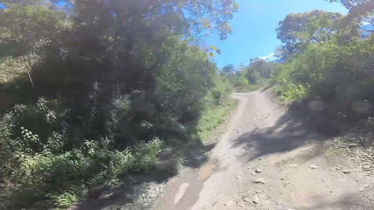 小關山林道-前段