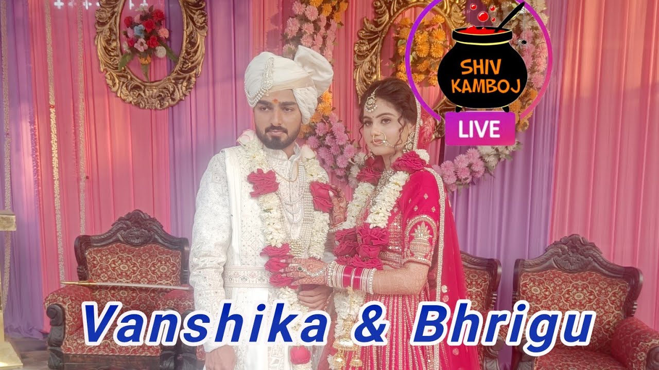 BHRIGU WEDS VANSHIKA