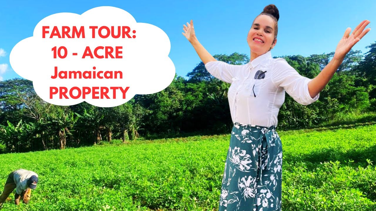 Ultimate 10-ACRE Farm Tour: Jamaican Rastafarian Farmer Shares Tips for Massive Harvests