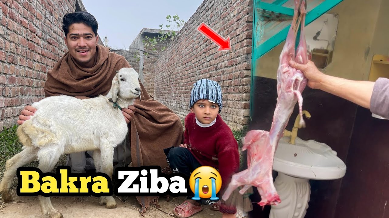 Goat 🐐 Ko  Ziba Kar Ka Party 🎉 Ke ☠️