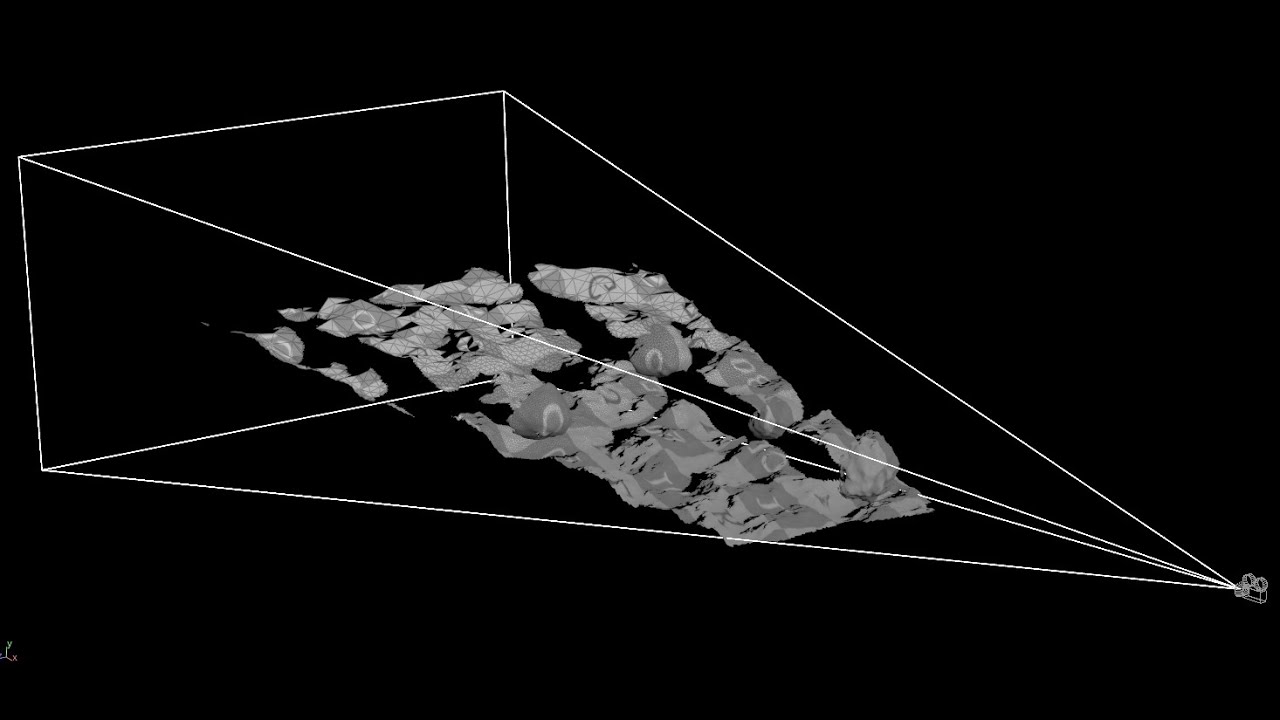 Scene Optimization