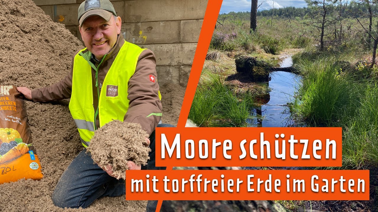 Torffreie Erde für Hobbygärtner | MDR Garten