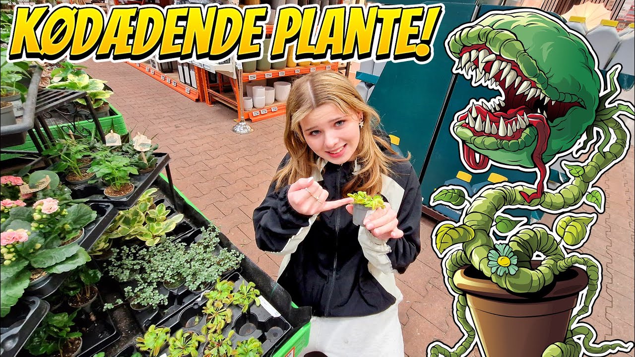 KØDÆDENDE PLANTE😱VIL HAVE SPIDERMAN😁