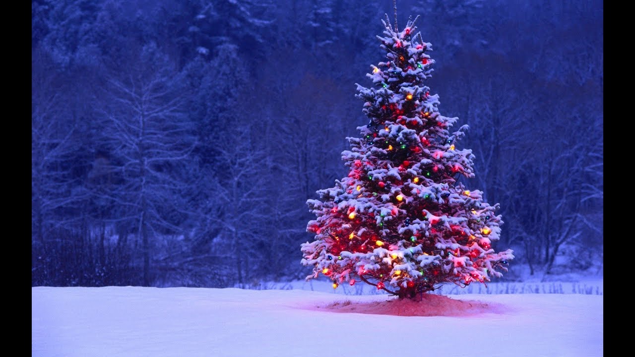 The Christmas Song - Weezer (Cover)