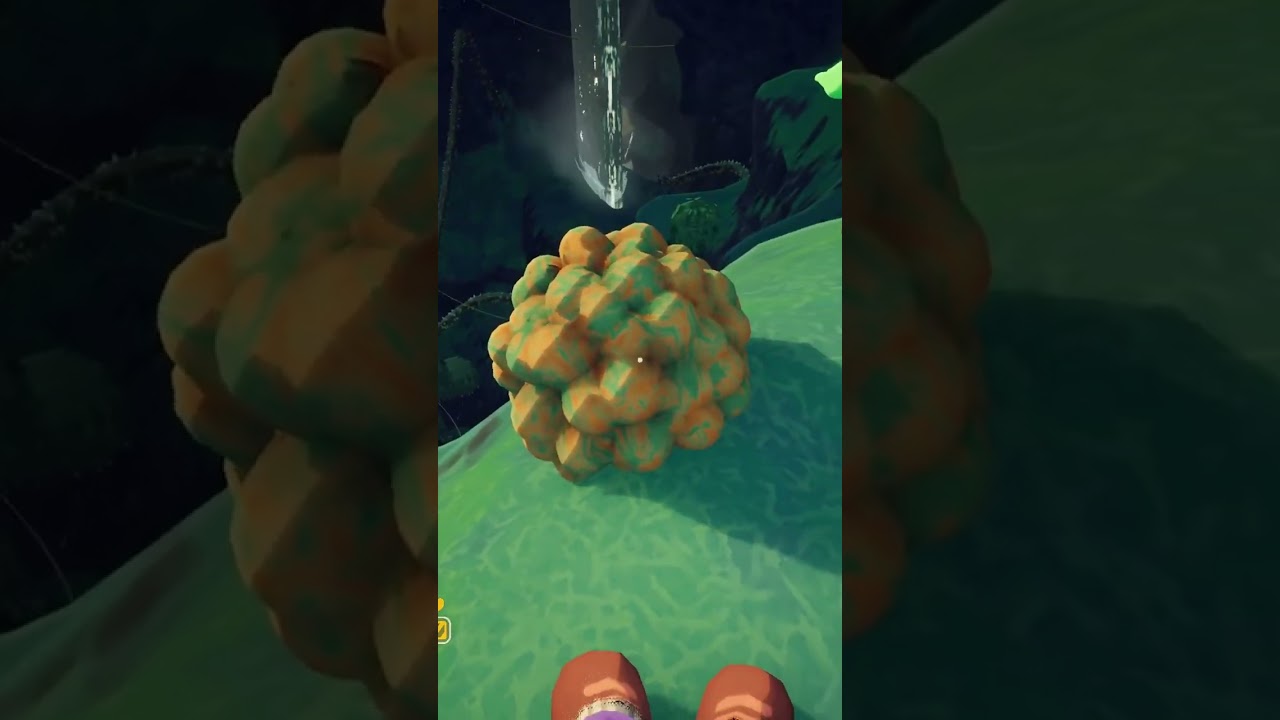 It was NOT snail eggs.