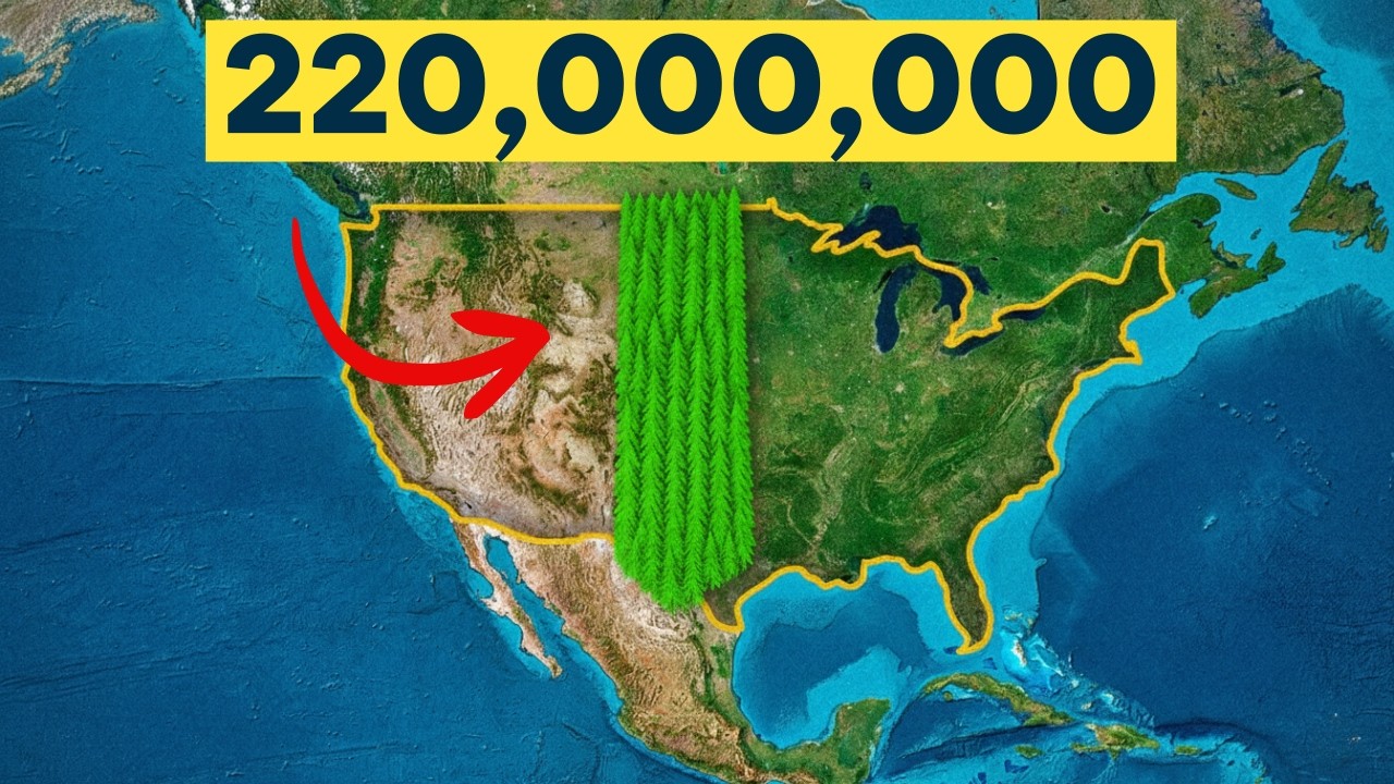 США посадили 220 миллионов деревьев — и вот что произошло.