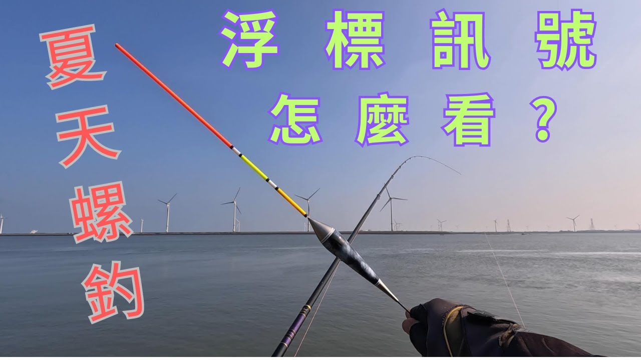 夏天螺釣黑格 你一定要知道的事