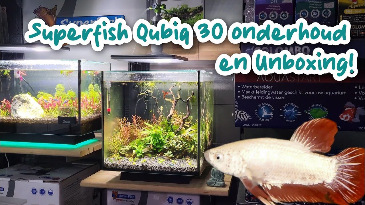 Superfish Qubiq 30 Onderhoud en aquariumplanten/vissen unboxing! | Exotic Aquatica