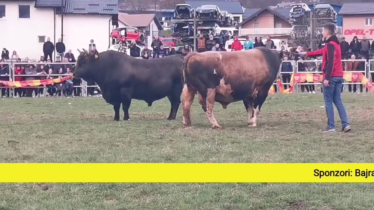 Uživo finalni krug Ra&scaron;ko polje Vitez