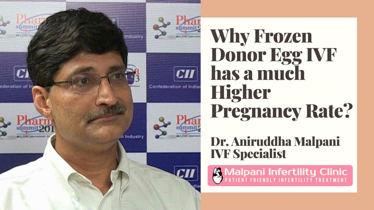 Egg donor - Success rate and process | Frozen donor egg IVF | IVF success rate