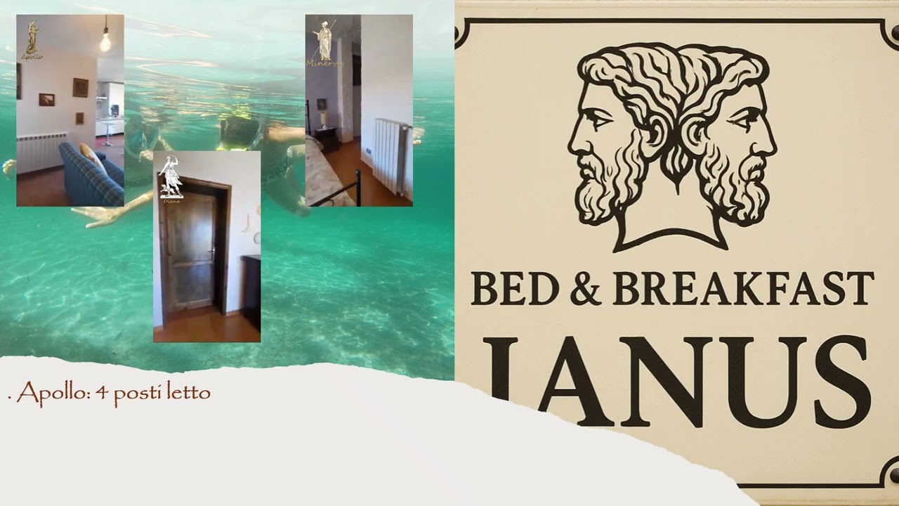 ianusbnb