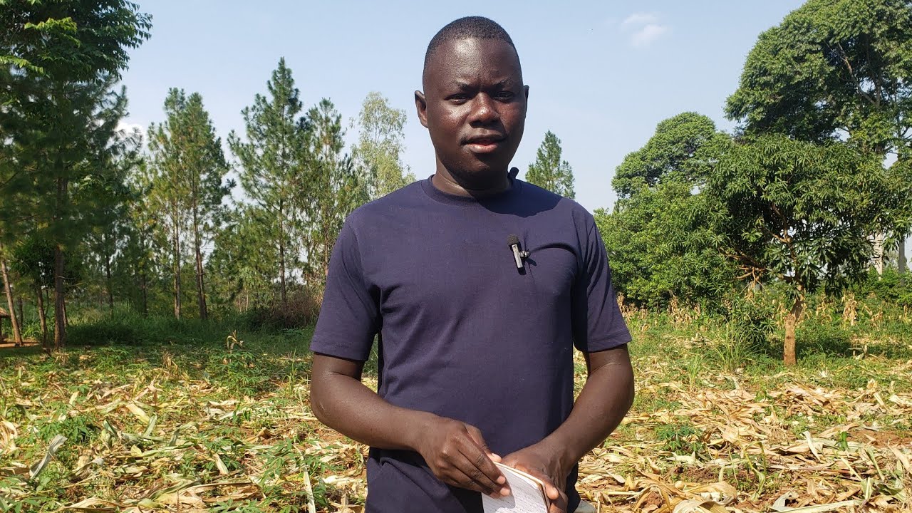 How to Process and Register a Land Title in Uganda?