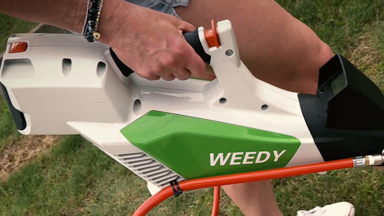 The Weedy