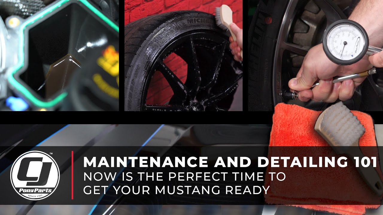 Mustang Maintenance & Detailing: Get Your Mustang Ready While Stuck at Home