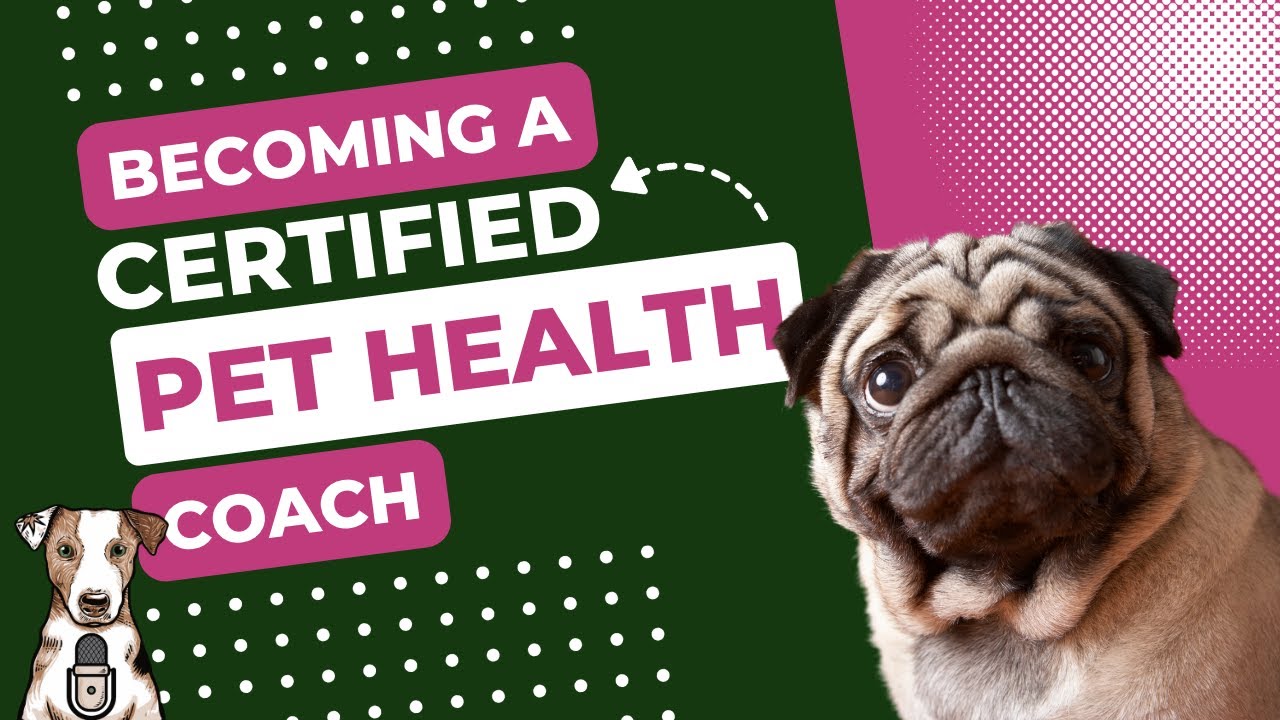 Becoming a Pet Health Coach with Jessica Fisher of Pet Parenting Reset