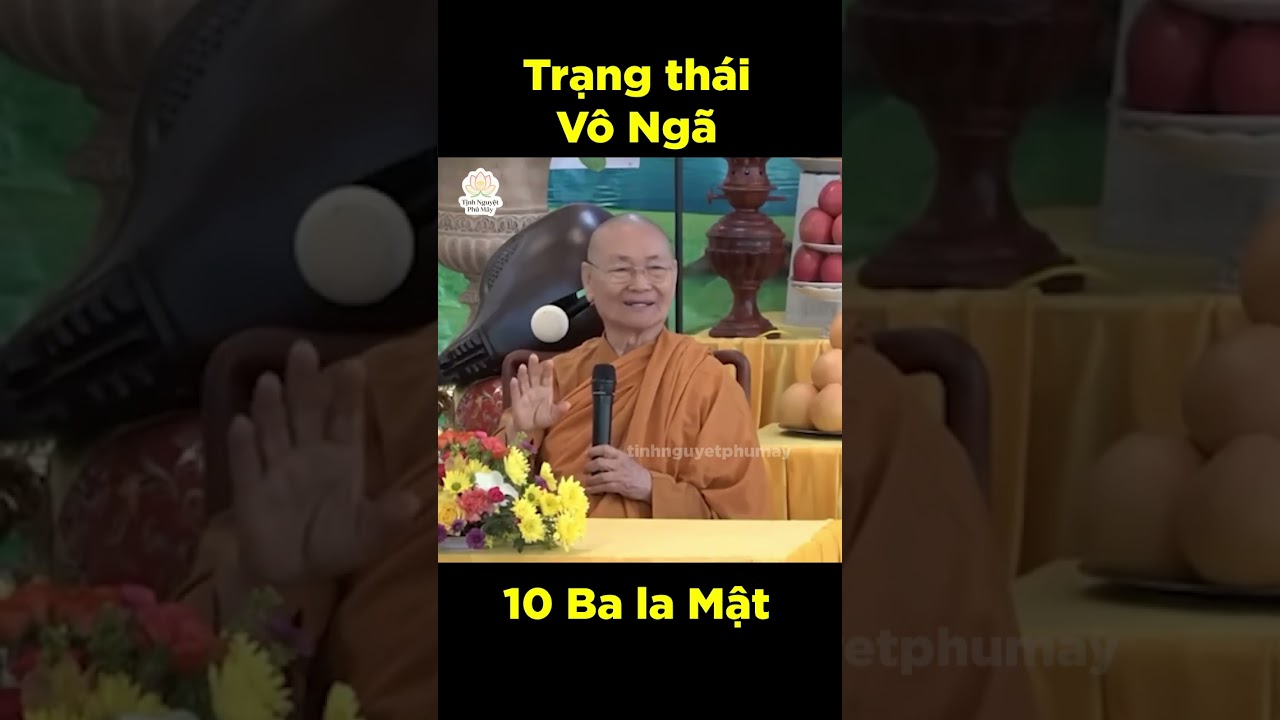Vô ngã Vị Tha - Ba la mật #phatphap #adidaphat #loiphatday #vienminh