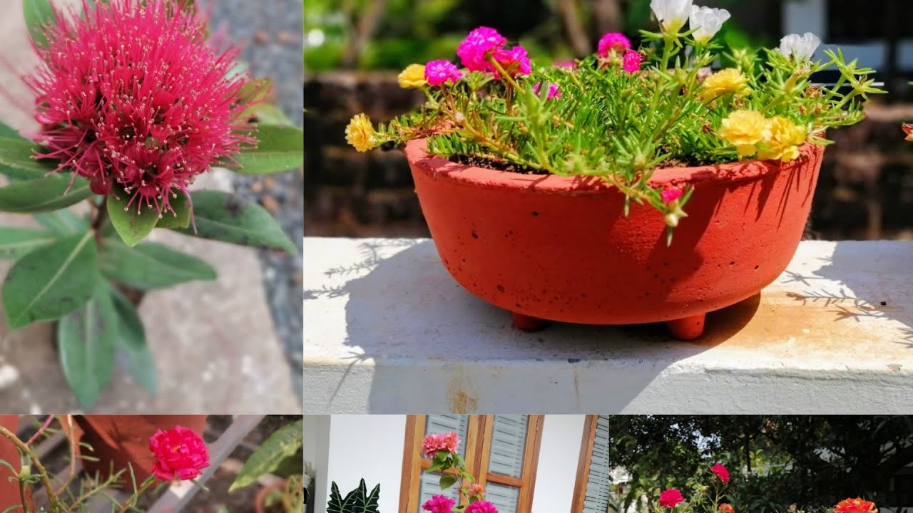 #Garden