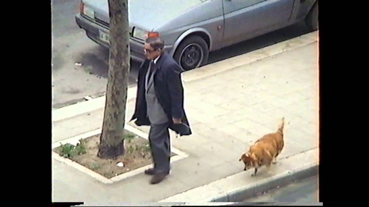 Il cane zoppo di Japigia vissuto nell'anno 1978