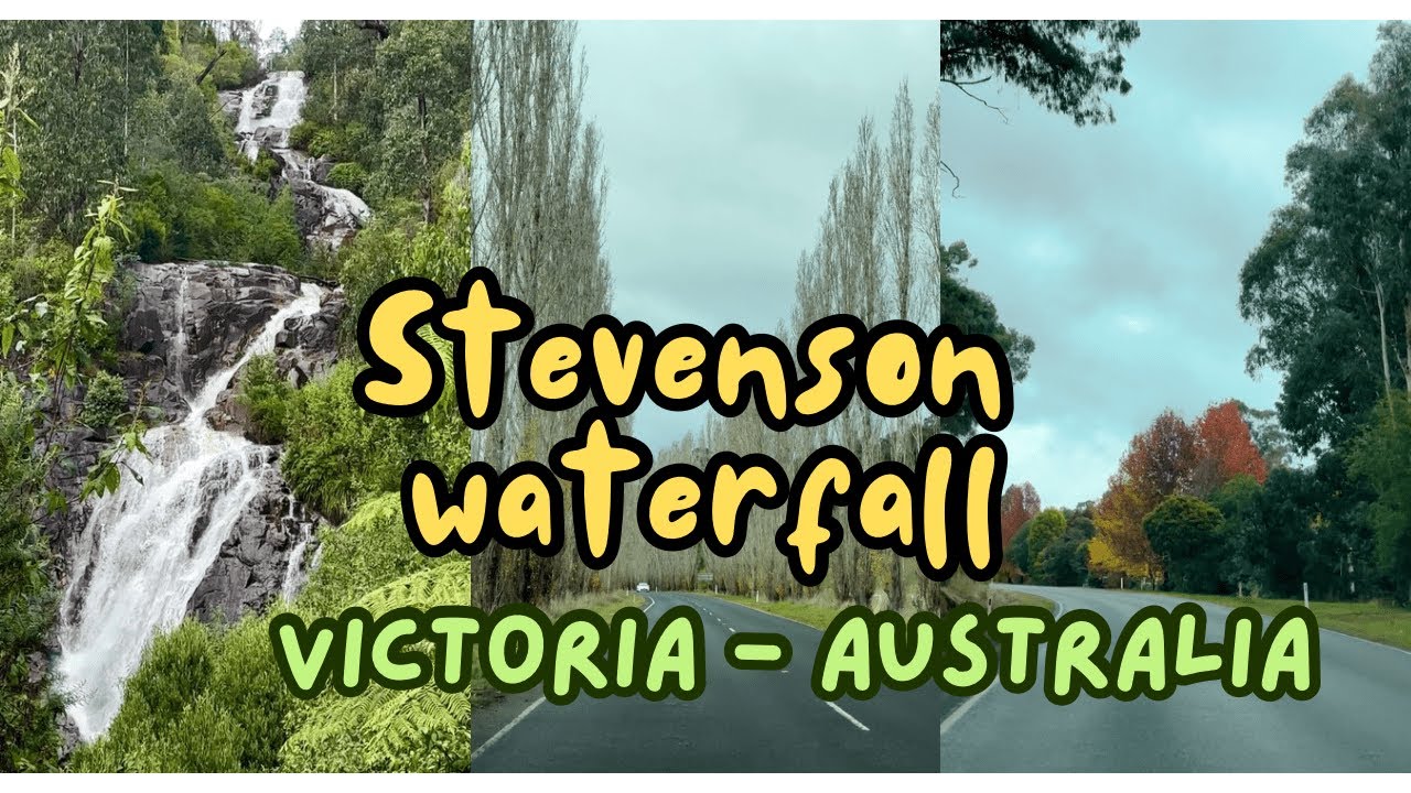 Tour to the Stevenson Waterfall in Victoria, Australia | One of a highest waterfalls in Australia