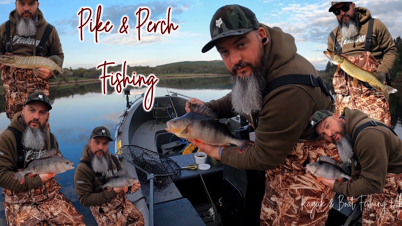 PERCH & PIKE Fishing - Whaly 435 - Boat Fishing Uk - #fishing #pike