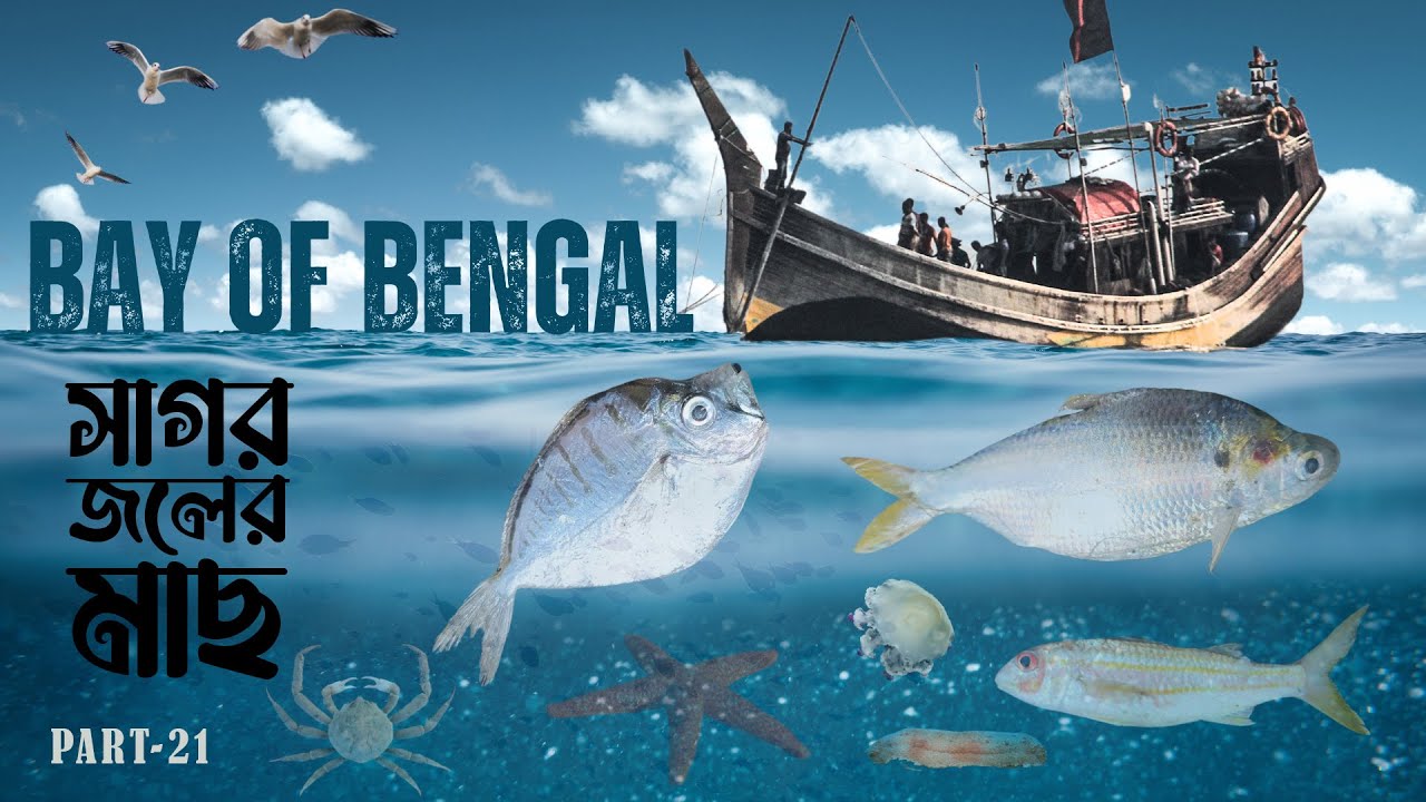 মাছ ধরতে ৭৫ কিলোমিটার দূরে গভীর সমুদ্র এলাকায় | Deep Sea Fishing 75 Kilometers Off The Coast