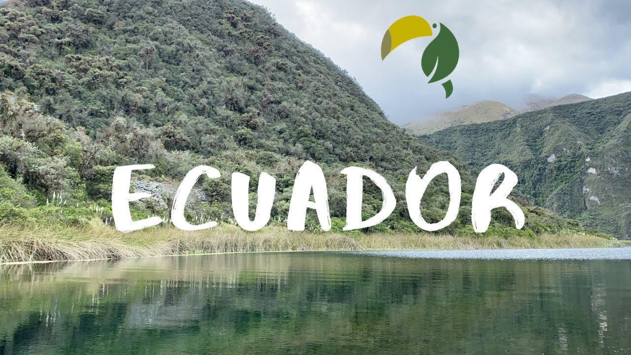 Expedition to Ecuador