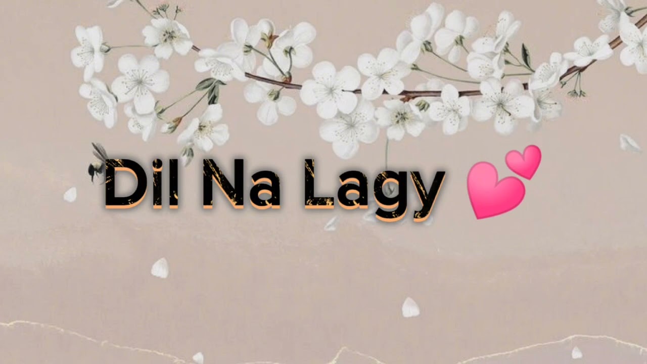 Dil Na Lagy || Classic Song || Slow Reverb || Mr Music