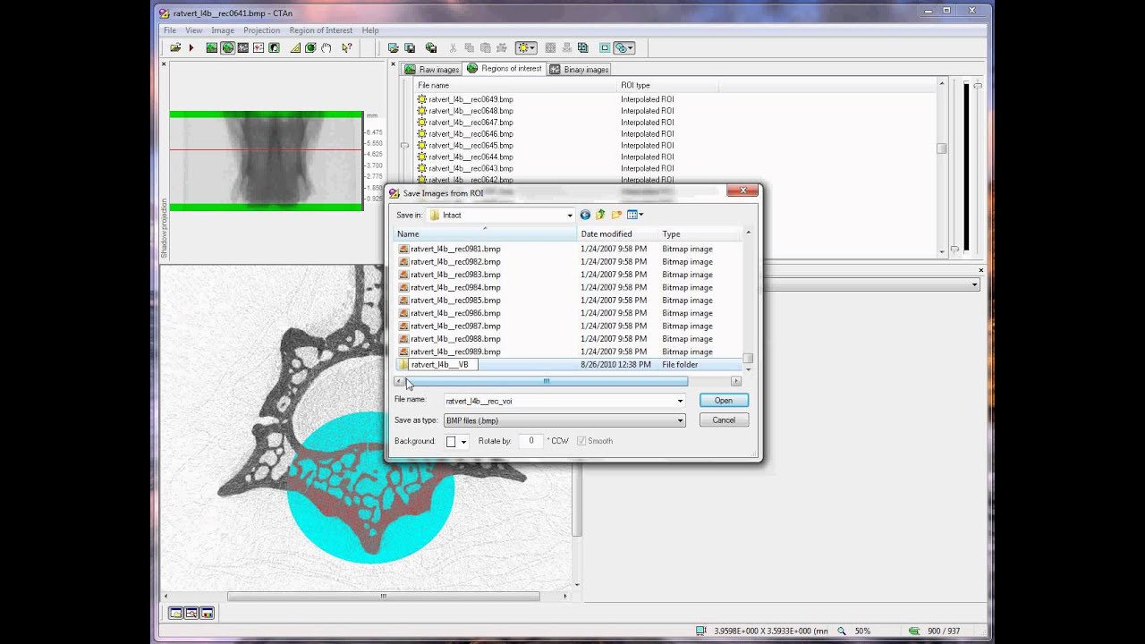 Bruker microCT training video: setting VOIs for rodent vertebra