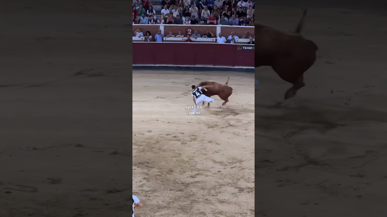 Salto De Infarto De Jamal Chee Al Toro &iexcl;Lo Nunca Visto! #shorts