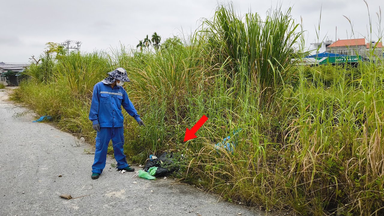 Neighborhood Residents Neglect Sidewalk Overgrown Weeds and Turned it into Garbage Dump Dirty