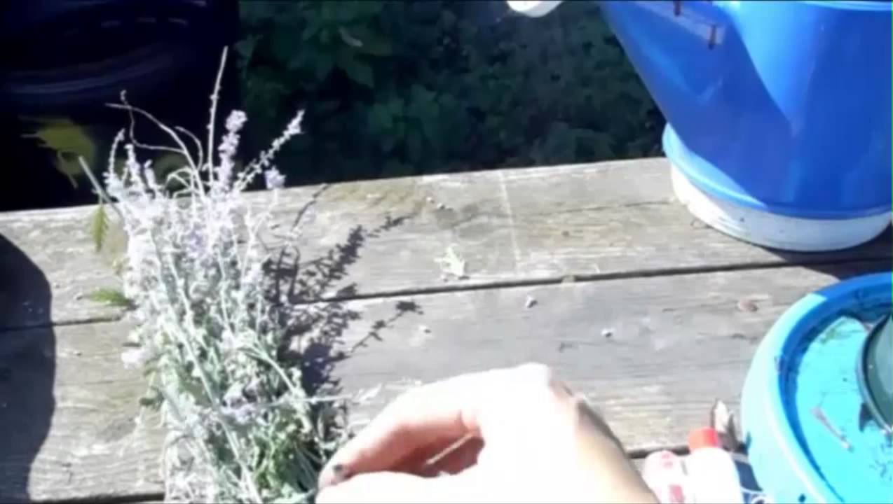 How to Make Smudge Sticks Sage and Lavender